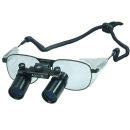 m1504_prismaticloupe