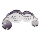 h1226_lentedouble